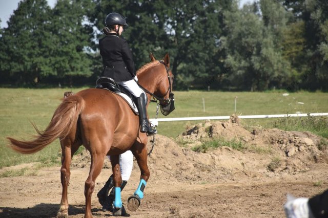 09-28-10_turnier bohm 24.07.2016  134